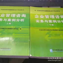 企業(yè)管理咨詢實務(wù)與案例分析